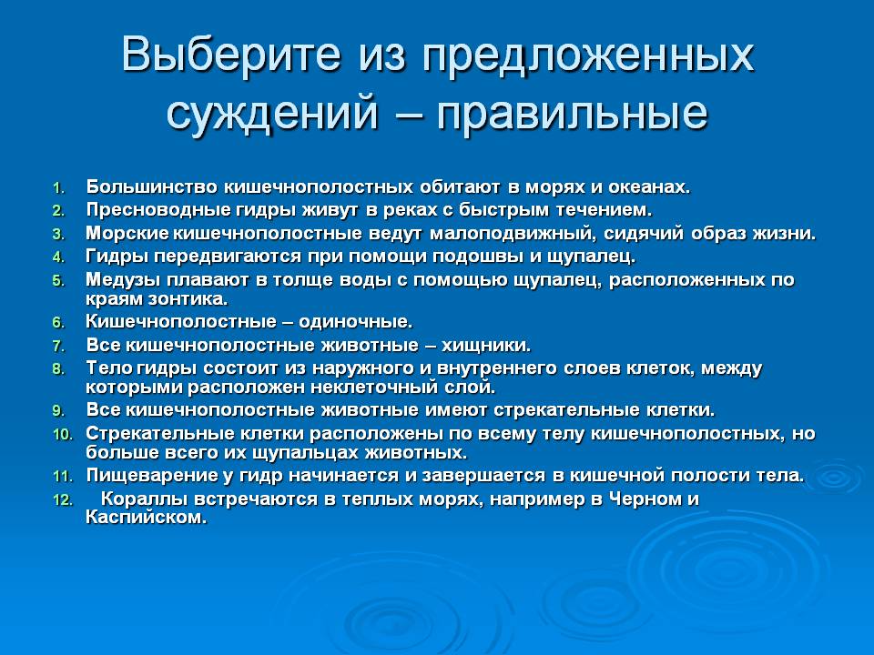 Что за маркетплейс кракен
